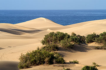 Gran Canaria