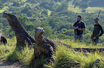 Komodo Island