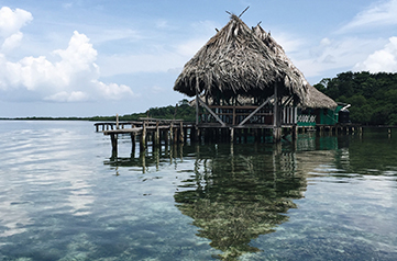 Bocas del Toro